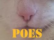 Omslag van Poes