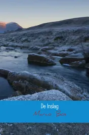 Omslag van De inslag