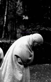 Omslag van Job