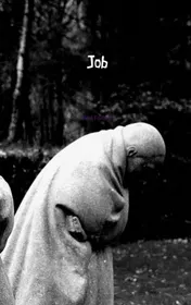Omslag van Job