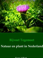 Omslag van Bijvoet Tegemoet Natuur en plant in Nederland