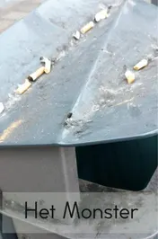 Omslag van Het Monster