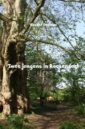Omslag van Twee jongens in Roosendael