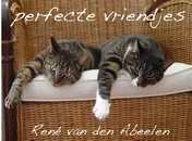 Omslag van perfecte vriendjes