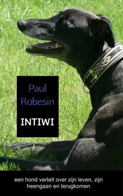 Omslag van INTIWI