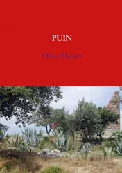 Omslag van Puin