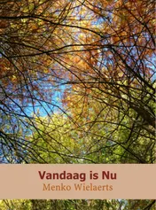 Omslag van Vandaag is nu