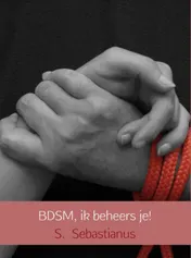 Omslag van BDSM, ik beheers je!