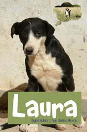 Omslag van Laura