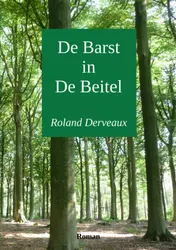 Omslag van De Barst in De Beitel