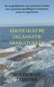 Omslag van Eerste hulp bij organisatievraagstukken