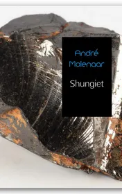 Omslag van Shungiet