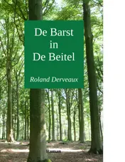 Omslag van De barst in de beitel