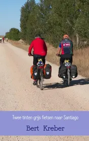 Omslag van Twee tinten grijs fietsen naar Santiago