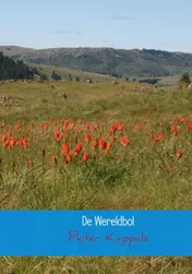 Omslag van De wereldbol