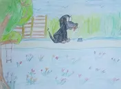 Omslag van De avonturen van Blacky