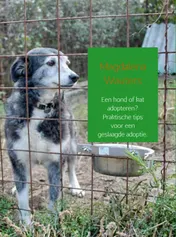 Omslag van Een hond of kat adopteren?