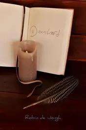 Omslag van Doorleefd