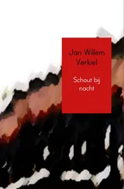 Omslag van Schout bij nacht