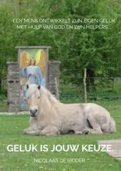Omslag van Geluk is een keuze