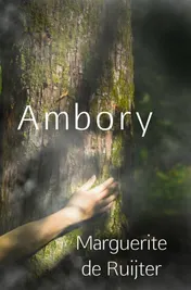 Omslag van Ambory