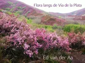Omslag van Flora langs de Via de la Plata