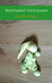Omslag van Beschaamd vertrouwen