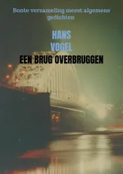 Omslag van Een brug overbruggen