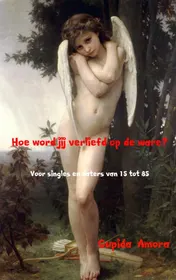 Omslag van Hoe word jij verliefd op de ware?