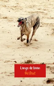 Omslag van Langs de baan
