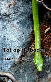 Omslag van Tot op de bodem