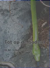 Omslag van Tot op de bodem