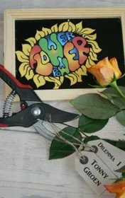 Omslag van FlowerPower