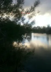 Omslag van Om jou