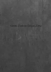 Omslag van Grote zinloze grijze zone
