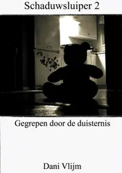 Omslag van Gegrepen door de duisternis