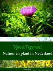 Omslag van Bijvoet Tegemoet