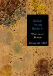 Omslag van Waar stenen bloeien