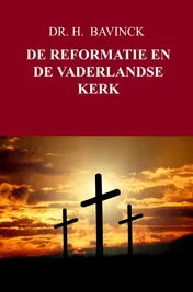 Omslag van DE REFORMATIE EN DE VADERLANDSE KERK