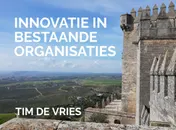 Omslag van Innovatie in bestaande organisaties