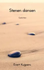Omslag van Stenen dansen