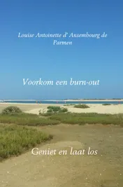 Omslag van Voorkom een burn-out
