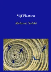 Omslag van Vijf plaatsen