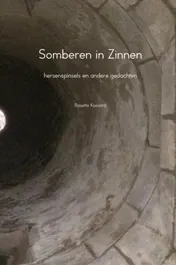 Omslag van Somberen in Zinnen