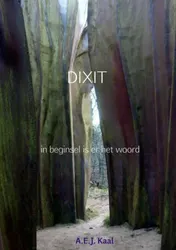 Omslag van Dixit