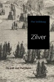 Omslag van Zilver