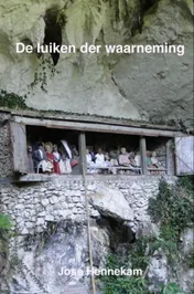 Omslag van De luiken der waarneming