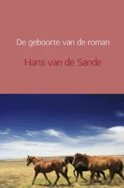 Omslag van De geboorte van de roman