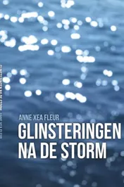 Omslag van Glinsteringen na de storm
