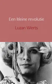 Omslag van Een kleine revolutie